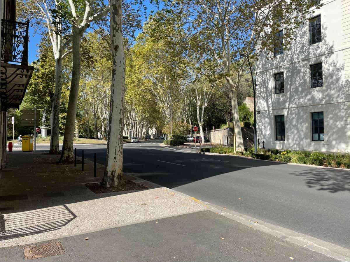 L'Eveche - T3 Spacieux & Traversant En Hypercentre Castres  Exterior photo